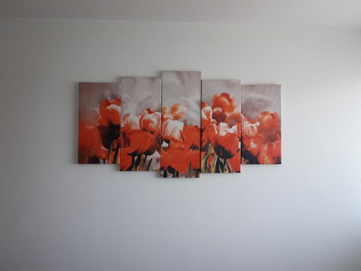 El Descanso Aínsa Dış mekan fotoğraf